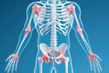 شناسایی سرنخ های کلیدی برای  تنظیم سلول های استخوان ساز