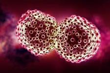 کشف حلقه گمشده بین سلول های بنیادی خونی و سیستم ایمنی