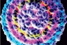 مزایای حیات بخش یک مطالعه جدید در مبارزه با ویروس ها