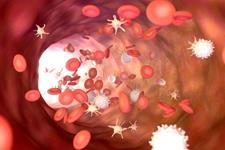 پلاکت ها عامل اصلی آسیب عروق خونی در کووید-19 هستند