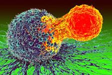 ترکیب سلول درمانی و ایمنی درمانی برای مقابله با تومورهای توپر