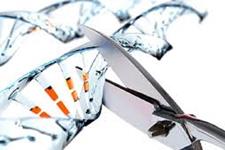 تایید مجوز اولین تست تشخیصی بر پایه CRISPR برای بیماری کرونا