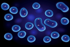 نگاهی دقیق ‌تر به مکانسیم دارو‌های محرک سلول‌های بنیادی خونساز
