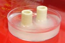 استفاده از پرینت زیستی برای مهندسی بافت نای