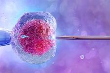 فاکتورهای سبک زندگی  و نقش آن‌ها در موفقیت IVF
