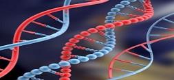 پژوهشگران دانشگاه تربیت مدرس روش جديدي براي تعيين توالي رشته‌هاي DNA ارائه كردند