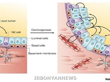 نقش پروتئین Trop2 در تحریک سلول های توموری پروستات