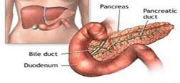 مصرف آنتی اکسیدان ها در رژیم غذایی خطر ابتلا به سرطان پانکراس را کاهش می دهد