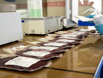 6500 نمونه از خراسان به بانک خون بندناف رویان ارسال شده است