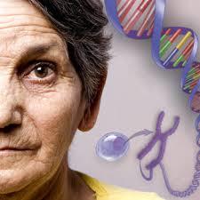 آیا سلول های بنیادی برای درمان افراد پیر با بیماری های مزمن موثر هستند؟