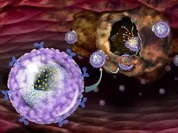 نانوذره ها به تشخیص میکروسکوپی پروتئین های مربوط به سرطان کمک می کنند