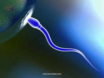 اولین مرحله حیاتی در لقاح بین اسپرم و تخمک شناسایی شد