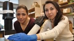 ایجاد سلول های قلبی نجات بخش در آزمایشگاه به وسیله محققین ایرانی