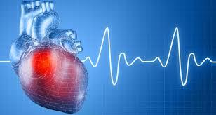 استفاده از سلول های بنیادی برای درمان بیمارانی با سکته قلبی ایسکمیک