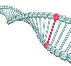 ویرایش DNA برای اصلاح بیماری های ژنتیکی