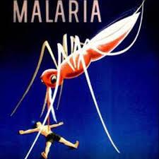 کشف یک درگاه ضروری انگل مالاریا به سلول های قرمز خونی