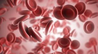 کشف منشأ اولین سلول های خونی در طی تکوین