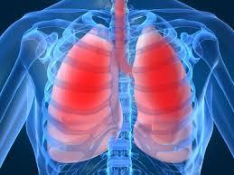 سلول های بنیادی ممکن است که ریه های آسیب دیده را بهبود ببخشند