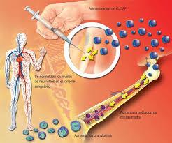 سلول های بنیادی پرتوان به درمان بیماری های وراثتی کمک می کنند