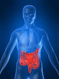 سلول های بنیادی امیدواری هایی را برای درمان بیماری Crohn’s نشان می دهد