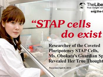 میخ آخر بر تابوت سلول های بنیادی القاشده بوسیله استرس(STAP Cells)