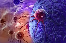 تست ویروس سرماخوردگی و سلول های بنیادی برای تخریب سرطان مغزی کشنده
