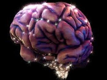شواهد جدید دال بر نقش LPC-DHA در تکوین جنینی مغز 