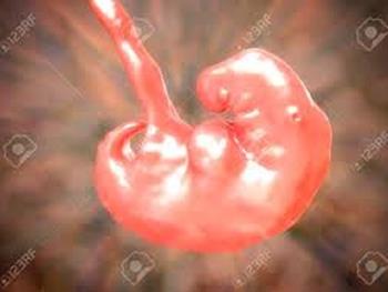 نگاهی به اولیه ترین تصمیات در شکل گیری جنین انسانی