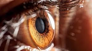 درمان خلاقانه چشم آسیب دیده با سلول های بنیادی و احیای بینایی 