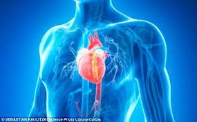 آهن می تواند بستری شدن افراد مبتلا به نارسایی قلبی را کاهش دهد و علایم آن ها را تسکین دهد