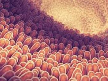 روده ها ساختار سلولی شان را در پاسخ به رژیم غذایی تغییر می دهند