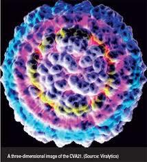 مطالعات بالینی نشان می دهد سلول های بنیادی در درمان عفونت های ویروسی بی خطر و موثر هستند