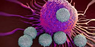 استفاده از سلول های بنیادی به عنوان موشک های جست و جو کننده سرطان