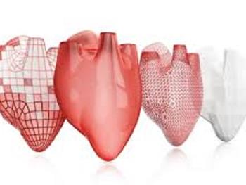 پرینت سه بعدی اندام ها که می تواند مشکل اهدای اندام را حل کند