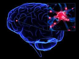 استفاده از سلول های بنیادی برای درمان آسیب مغزی
