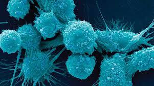 تولید سلول های بنیادی آهن ربایی برای مبارزه با سرطان