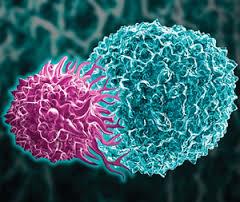 ایمنی درمانی CAR-T Cell، موثر برای درمان لنفوما