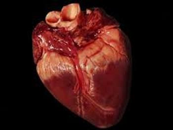 تولید بافت قلبی سه بعدی انسانی دارای ضربان