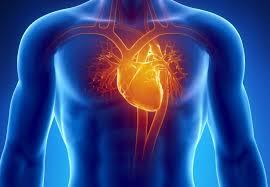 اثر دیابت روی سلول درمانی قلب