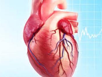 سلول های عضله قلبی انسان بدست آمده از سلول های بنیادی خود بیمار