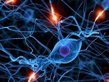 کشفی جدید در سیستم عصبی که می تواند اطلاعات جدیدی را برای درمان سکته و درد ارائه دهد