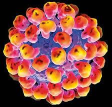 رمز گشایی این که چگونه HPV منجر به سرطان می شود می تواند یک استراتژی درمانی جدید باشد