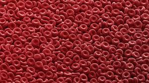 خون تازه برای بافت های آسیب دیده از طریق هیدروژل های آلژینات 