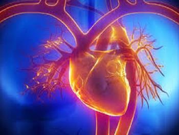 سیگنال های سلول-سلول در قلب در حال تکوین