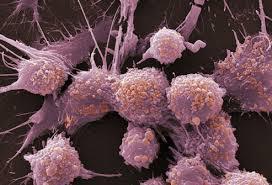 دیدگاه های جدید در  مورد مسیرهای پیام رسانی سلولی مرتبط با سرطان و سایر بیماری ها 