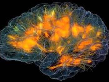 Celprogen با موفقیت پرینت های سه بعدی از مغز را با استفاده از سلول های بنیادی مغزی تولید کرده است