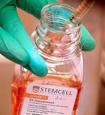 چگونه سلول های بنیادی را در آزمایشگاه شناسایی و نگهداری کنیم