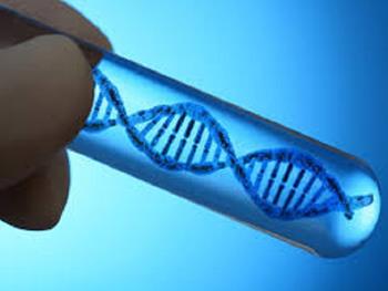 نوکلئوتیدهای DNA سرنخی برای کشف اکسیر جوانی