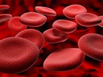 راهی برای افزایش کارایی تولید خون بالغ در ظروف آزمایشگاهی