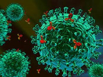 استفاده از بنیادینگی سلول های T می تواند ایمنی درمانی سرطان را تقویت کند